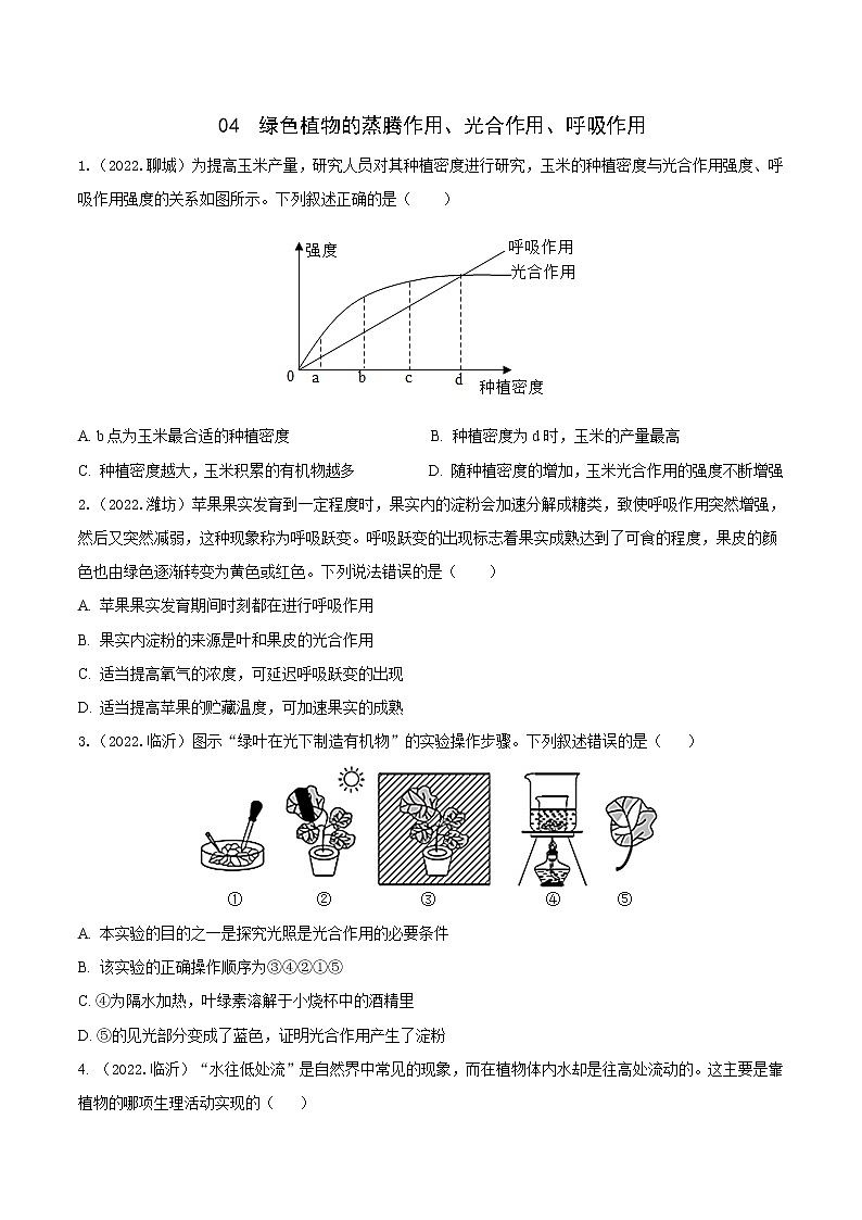 2020-2022年山东中考生物3年真题汇编 专题04 绿色植物的光合作用、蒸腾作用、呼吸作用（学生卷+教师卷）01