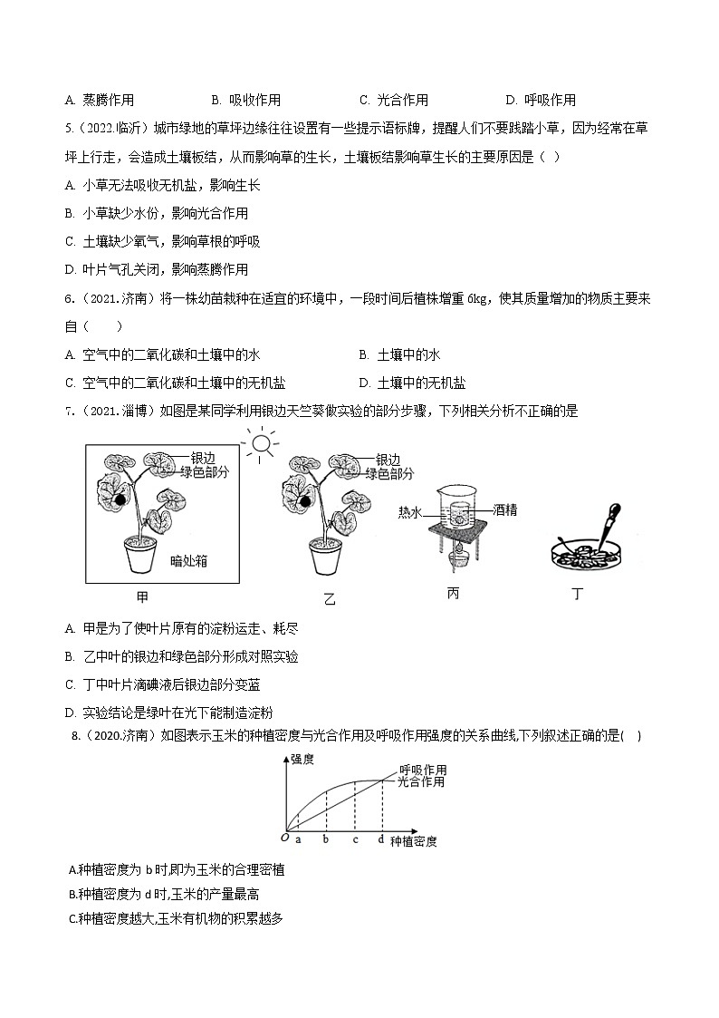 2020-2022年山东中考生物3年真题汇编 专题04 绿色植物的光合作用、蒸腾作用、呼吸作用（学生卷+教师卷）02