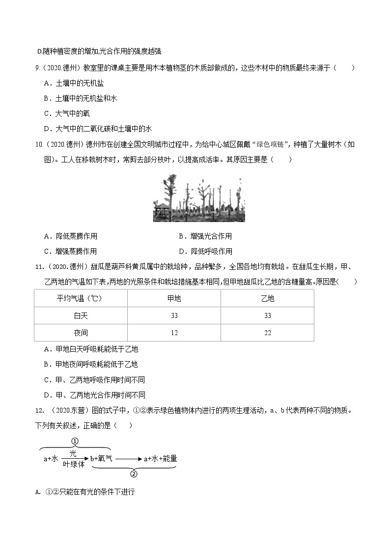 2020-2022年山东中考生物3年真题汇编 专题04 绿色植物的光合作用、蒸腾作用、呼吸作用（学生卷+教师卷）03