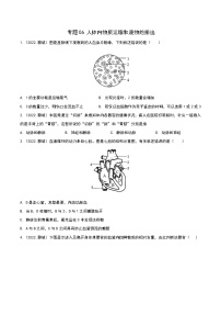 2020-2022年山东中考生物3年真题汇编 专题06 人体内物质运输和废物的排出（学生卷+教师卷）