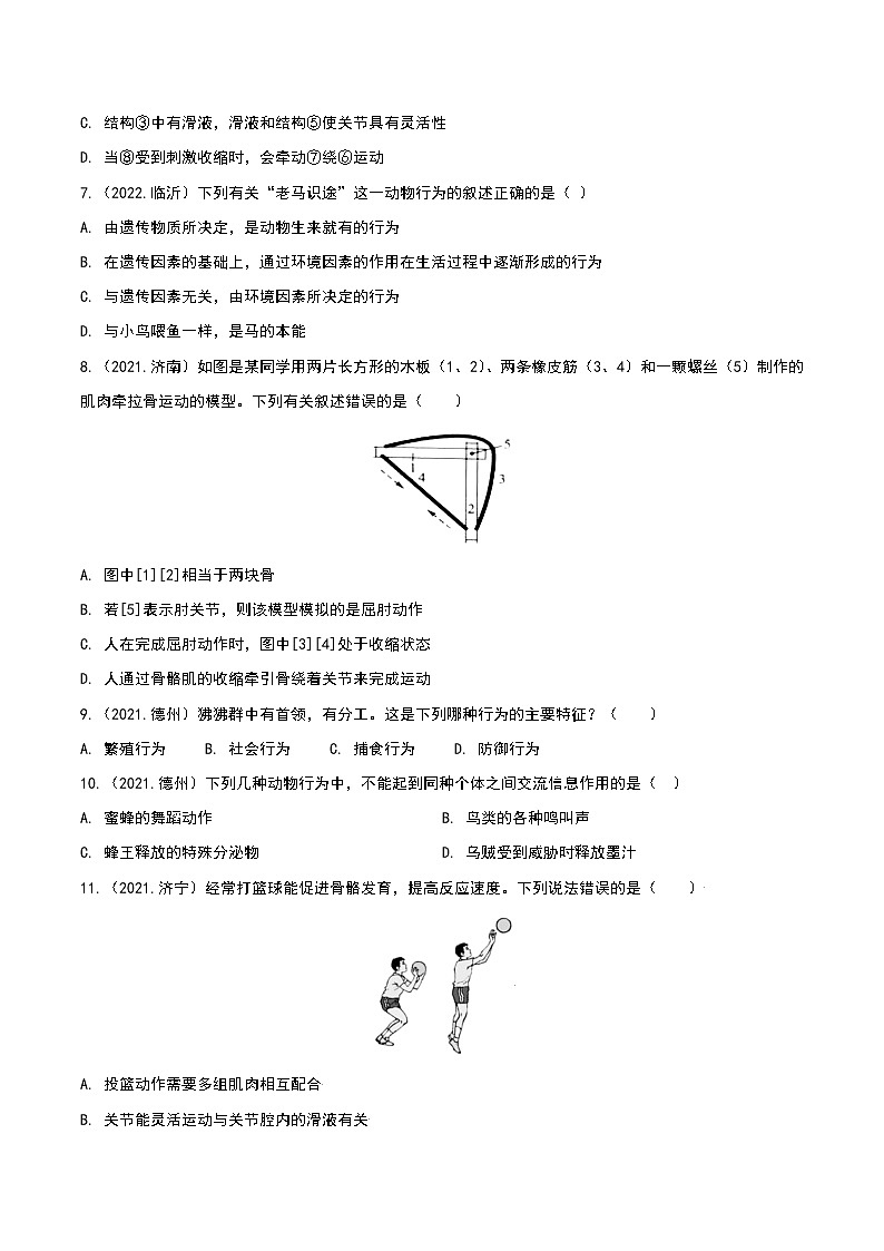 专题08 动物的运动和行为-三年（2020-2022）中考生物真题分项汇编（山东专用）（原卷版）第2页