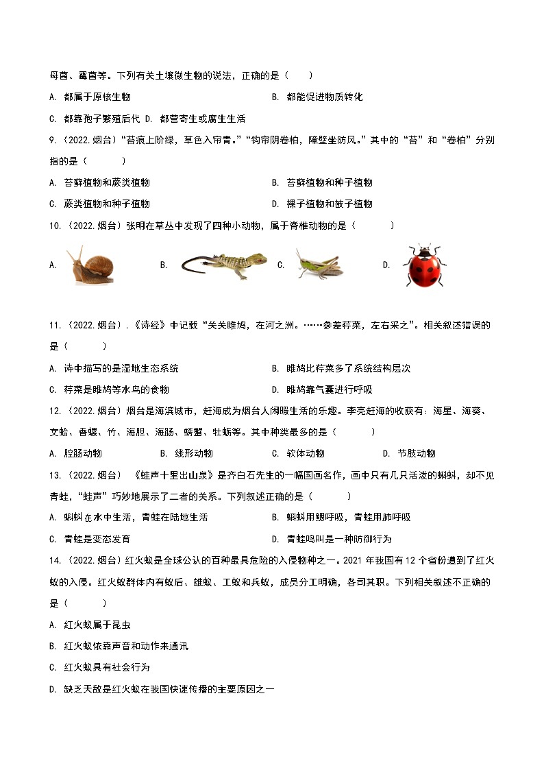 专题09 植物动物和微生物类群-三年（2020-2022）中考生物真题分项汇编（山东专用）（原卷版）第2页