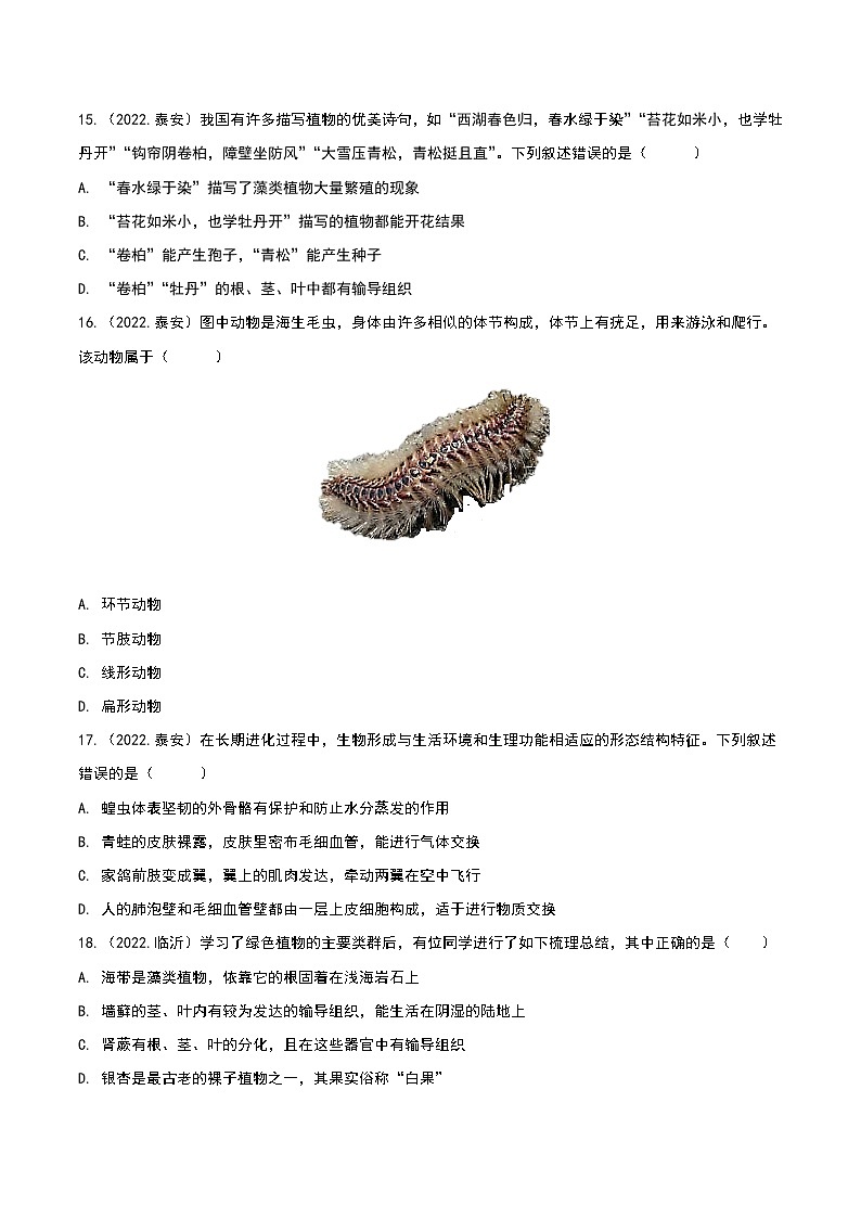 专题09 植物动物和微生物类群-三年（2020-2022）中考生物真题分项汇编（山东专用）（原卷版）第3页