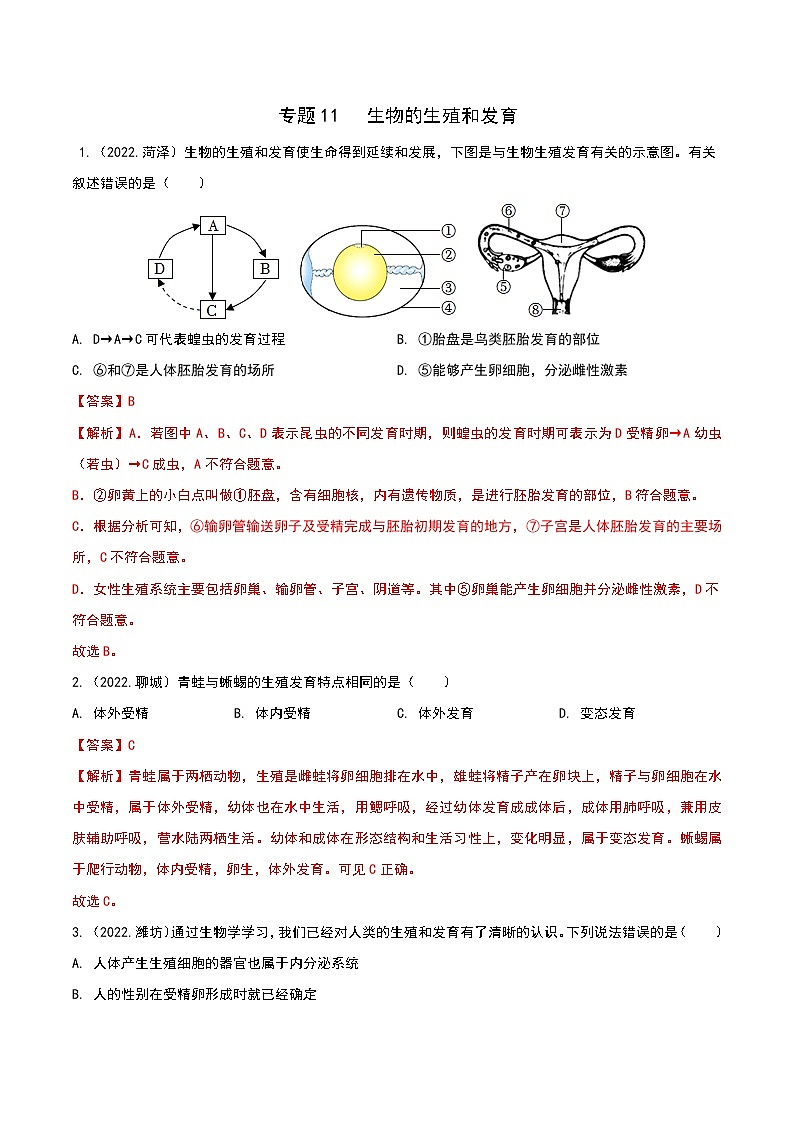 专题11 生物的生殖和发育-三年（2020-2022）中考生物真题分项汇编（山东专用）（解析版）第1页