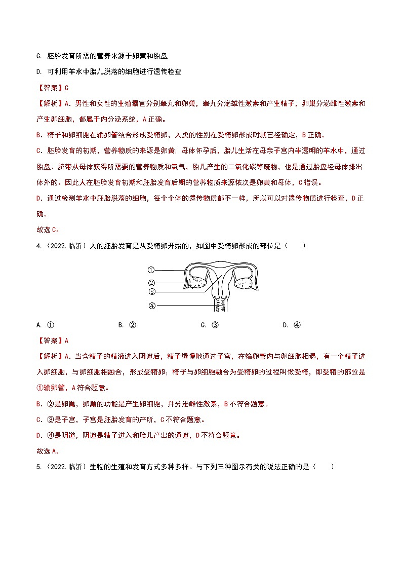专题11 生物的生殖和发育-三年（2020-2022）中考生物真题分项汇编（山东专用）（解析版）第2页