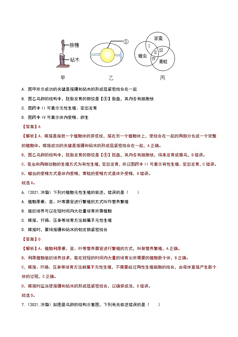 专题11 生物的生殖和发育-三年（2020-2022）中考生物真题分项汇编（山东专用）（解析版）第3页