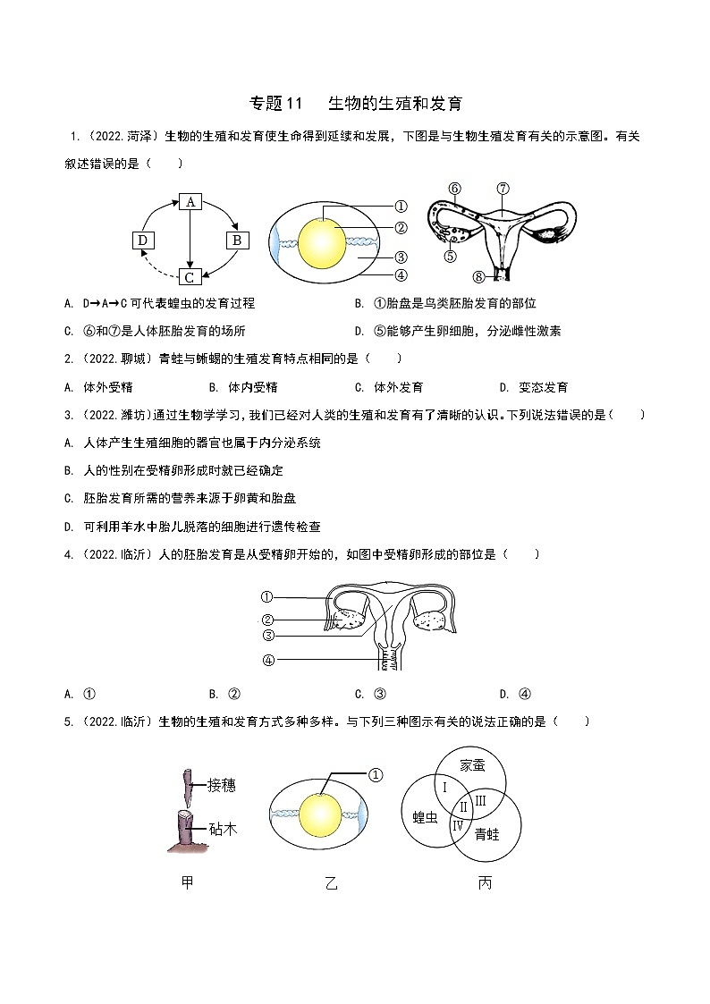 专题11 生物的生殖和发育-三年（2020-2022）中考生物真题分项汇编（山东专用）（原卷版）第1页