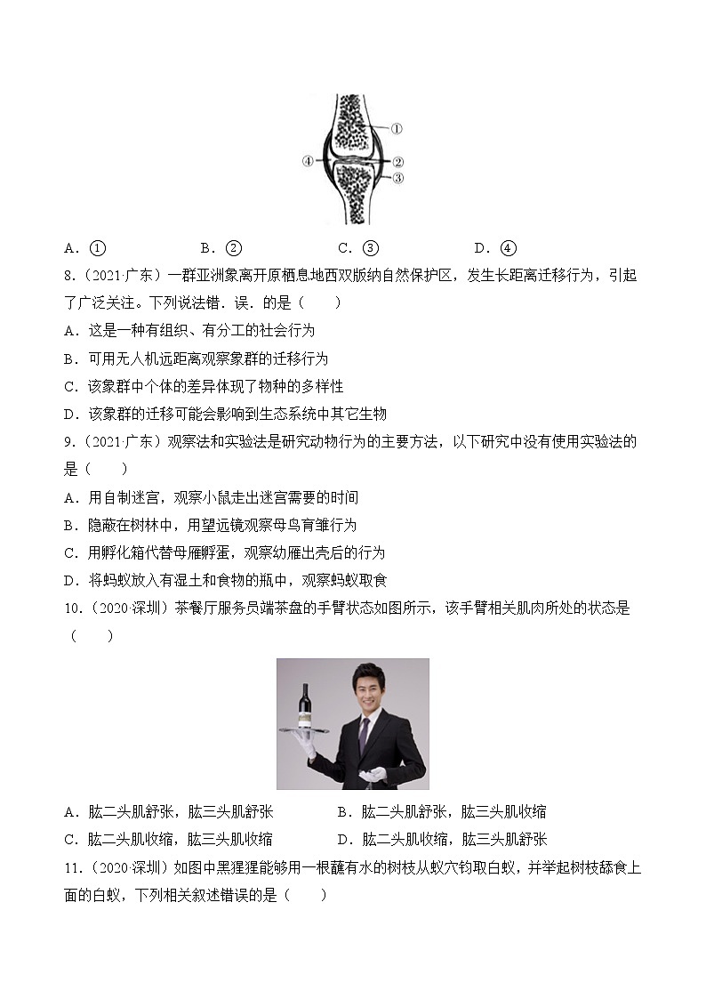 专题07 动物的运动和行为-广东三年中考真题分类汇编（原卷版）第2页