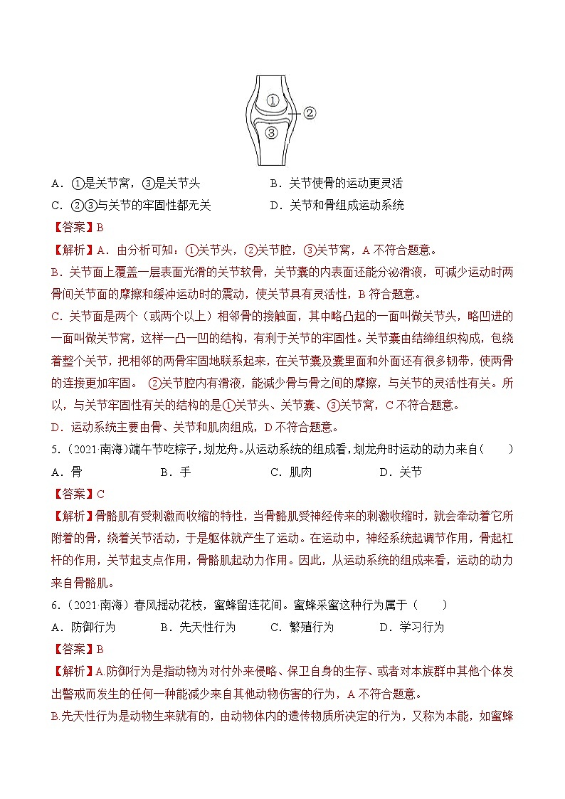 专题07 动物的运动和行为-广东三年中考真题分类汇编（解析版）第2页