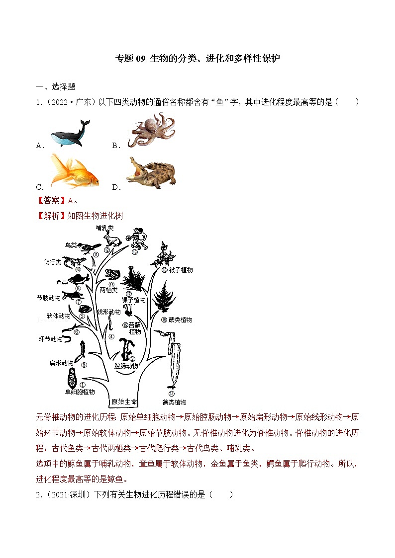 专题09 生物的分类、进化和多样性保护-广东三年中考真题分类汇编（解析版）第1页