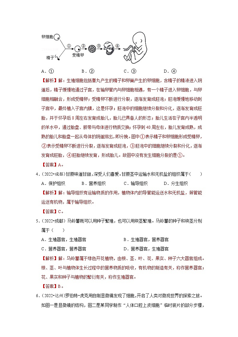 2020-2022年四川中考生物3年真题汇编 专题02 生物体的结构层次（学生卷+教师卷）02