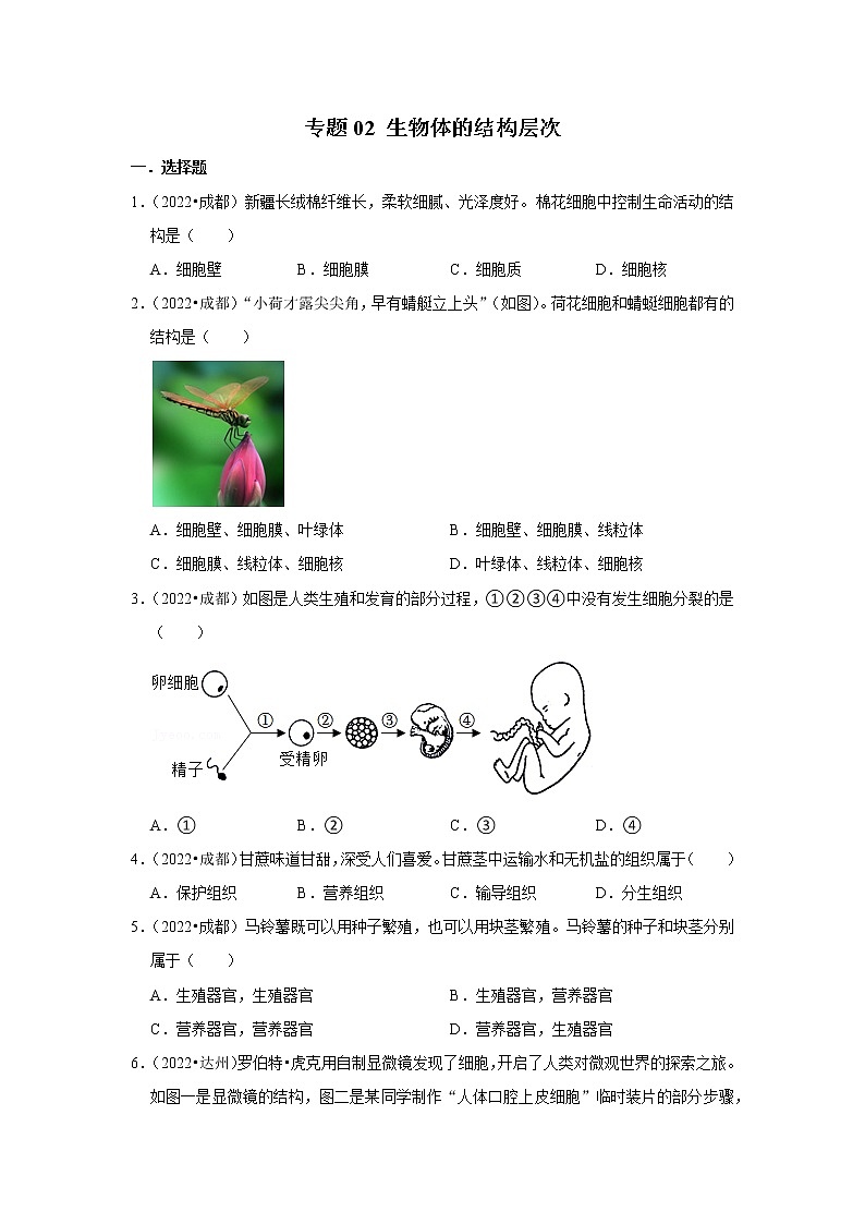 2020-2022年四川中考生物3年真题汇编 专题02 生物体的结构层次（学生卷+教师卷）01