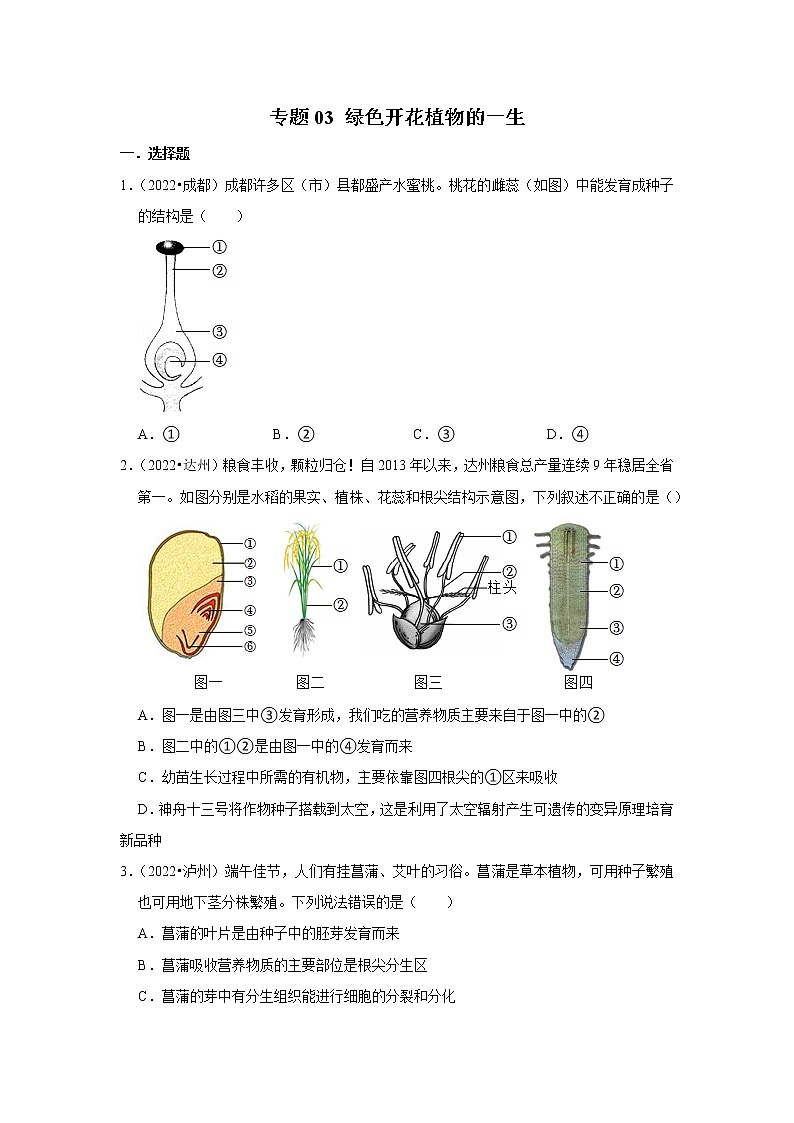 专题03 绿色开花植物的一生-三年（2020-2022）中考生物真题分项汇编（四川专用）（原卷版）第1页