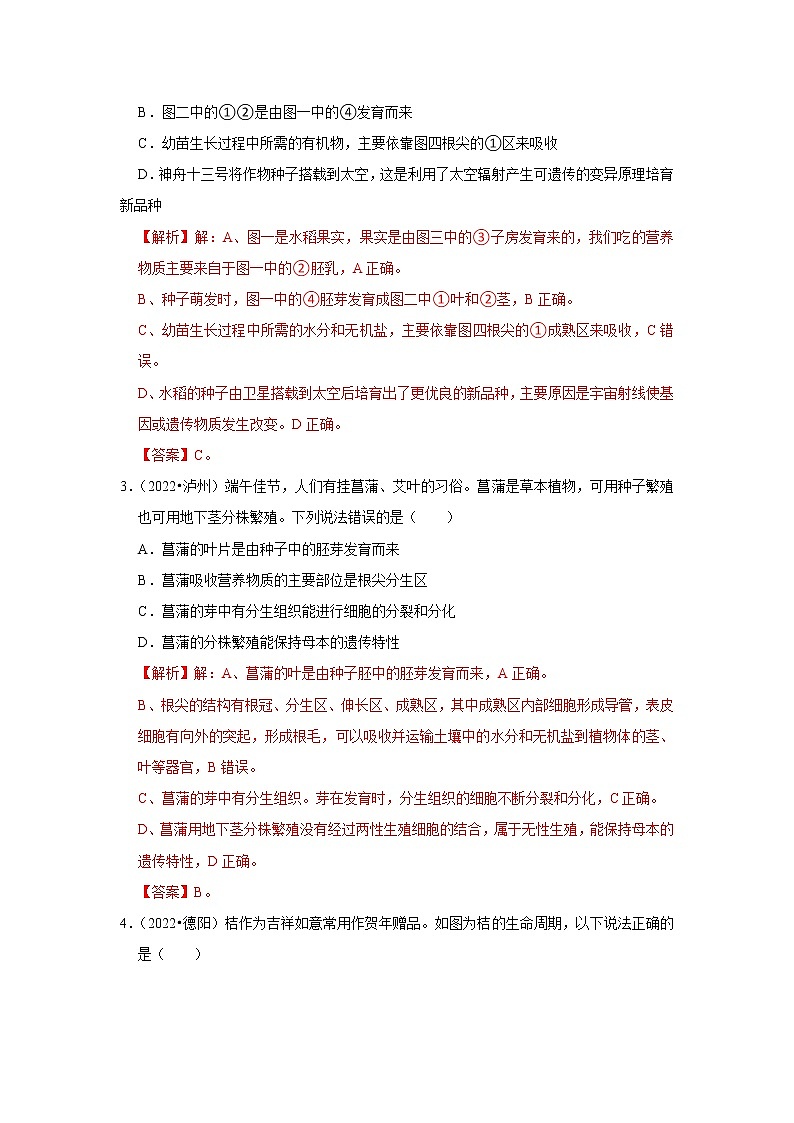 专题03 绿色开花植物的一生-三年（2020-2022）中考生物真题分项汇编（四川专用）（解析版）第2页