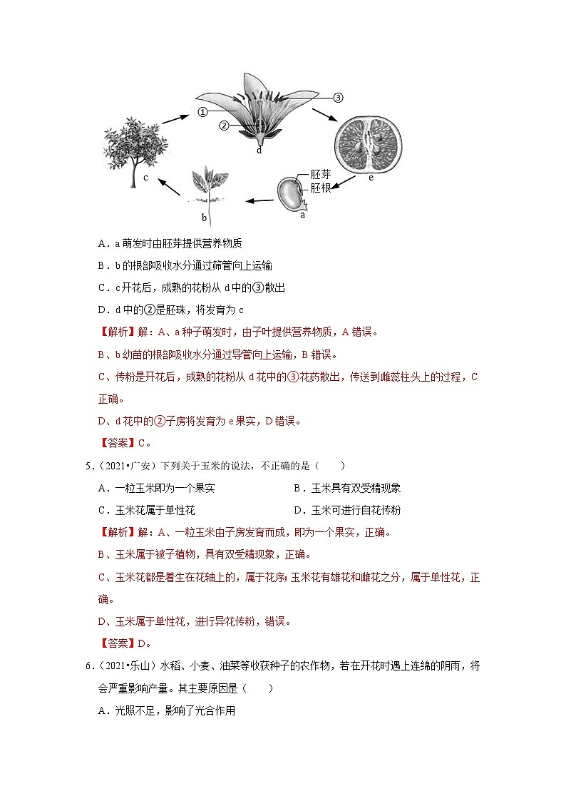 专题03 绿色开花植物的一生-三年（2020-2022）中考生物真题分项汇编（四川专用）（解析版）第3页