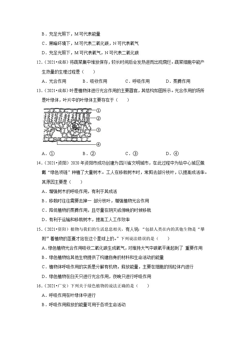 专题04 绿色植物的蒸腾作用-三年（2020-2022）中考生物真题分项汇编（四川专用）（原卷版）第3页