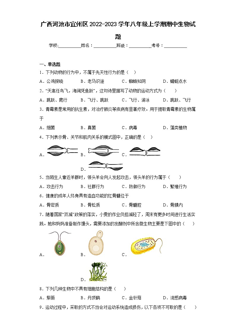 广西河池市宜州区2022-2023学年八年级上学期期中生物试题(含答案)01