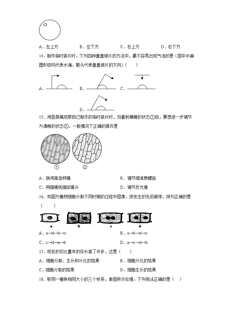 山东省济南市天桥区2022-2023学年七年级上学期期中生物试题(含答案)03