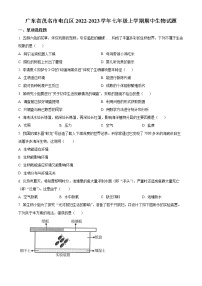 广东省茂名市电白区2022-2023学年七年级上学期期中生物试题(含答案)