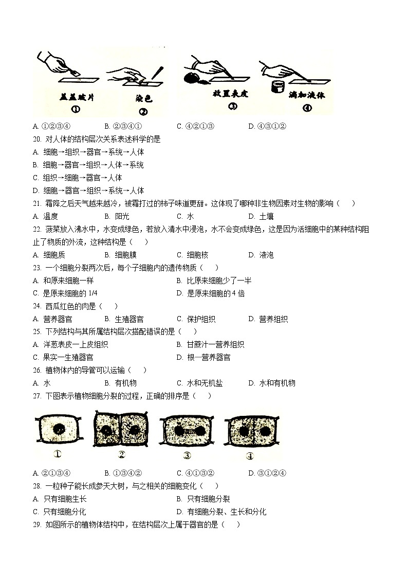 海南省屯昌县2022-2023学年七年级上学期期中生物试题(含答案)第3页