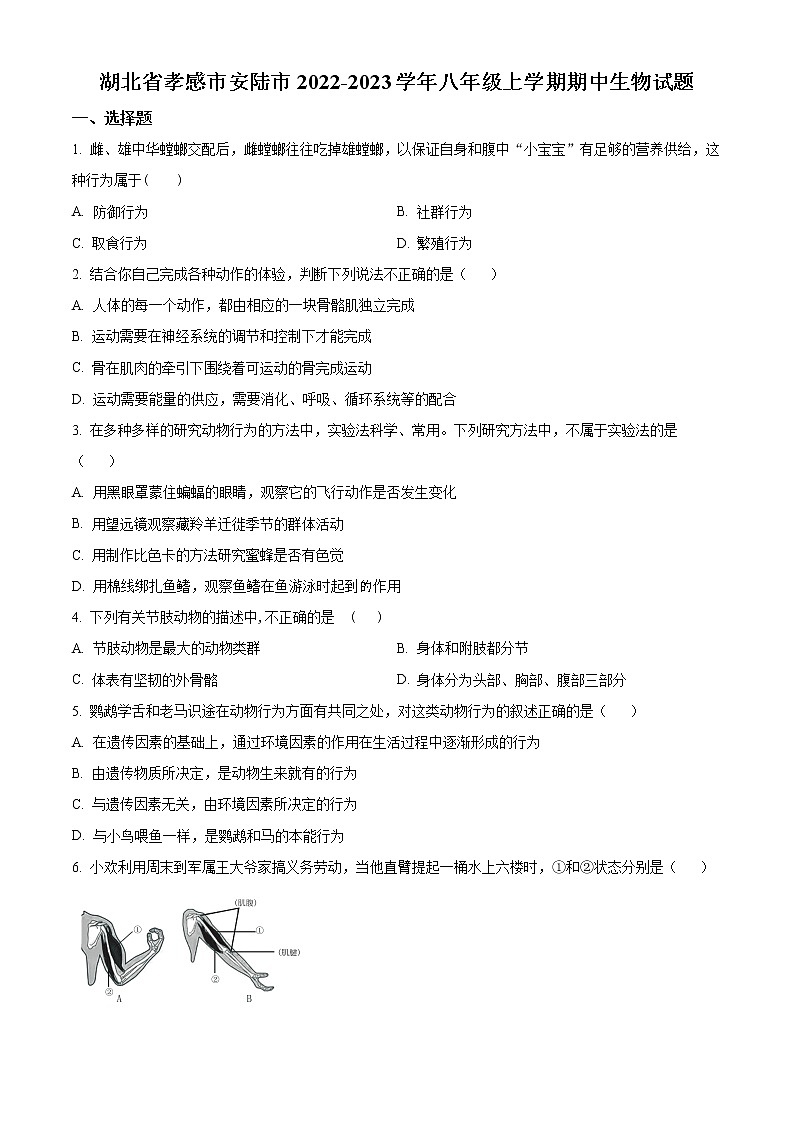 湖北省孝感市安陆市2022-2023学年八年级上学期期中生物试题(含答案)第1页