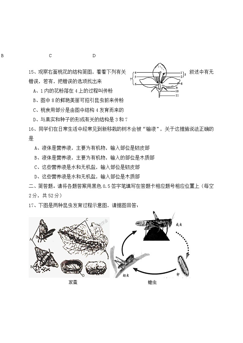 四川省内江市威远县凤翔中学2022-2023学年八年级上学期期中考试生物试题(含答案)第3页