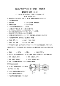 四川省内江市威远县凤翔中学2022-2023学年七年级上学期期中考试生物试题(含答案)