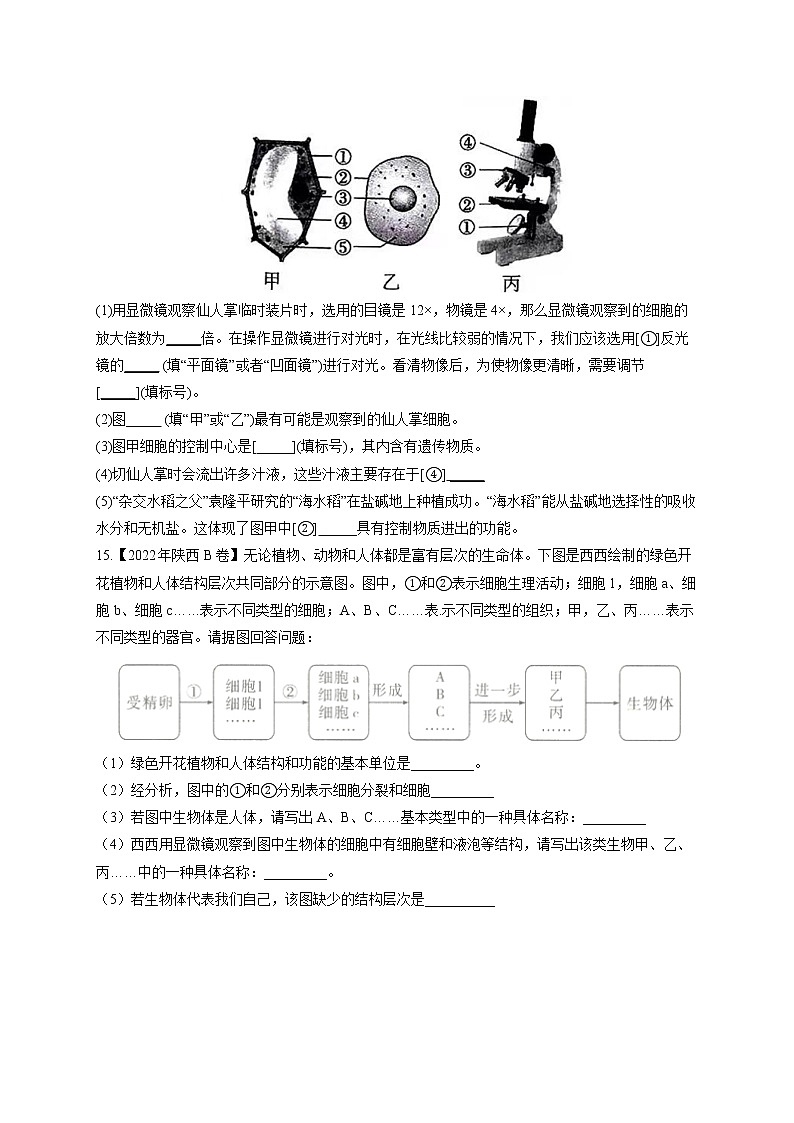 （2）生物体的结构层次——2022年中考生物真题专项汇编第3页