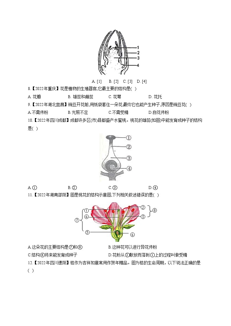 （3）绿色开花植物的一生——2022年中考生物真题专项汇编第2页