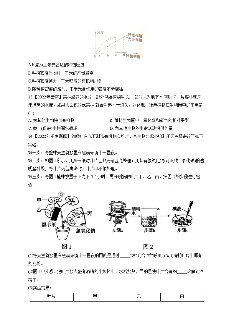 （4）绿色植物的三大作用——2022年中考生物真题专项汇编03