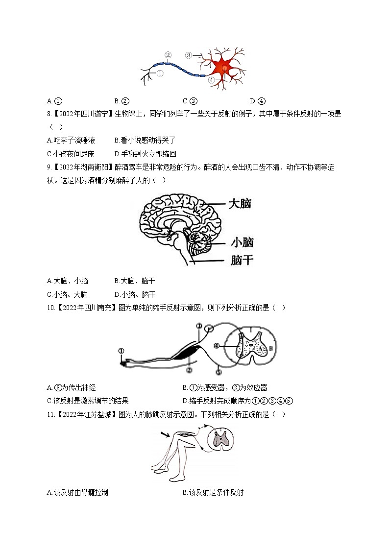 （10）人体生命活动的调节——2022年中考生物真题专项汇编第2页