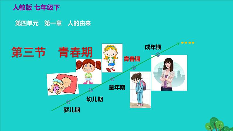 人教版七年级生物下册第4单元生物圈中的人第1章人的由来第3节青春期1课件02