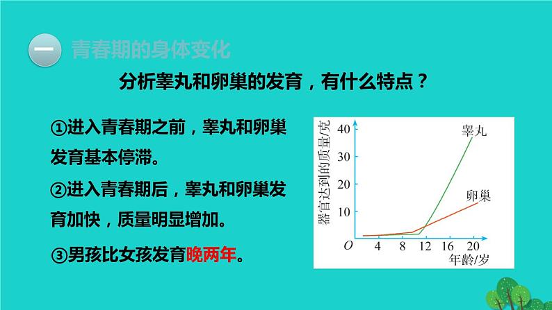 人教版七年级生物下册第4单元生物圈中的人第1章人的由来第3节青春期1课件06