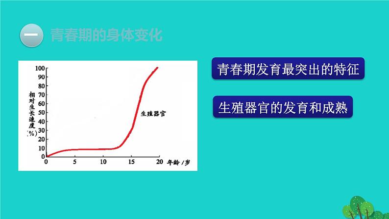 人教版七年级生物下册第4单元生物圈中的人第1章人的由来第3节青春期2课件07