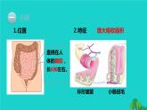 人教版七年级生物下册第4单元生物圈中的人第2章人体的营养第2节消化和吸收第2课时营养物质的吸收1课件