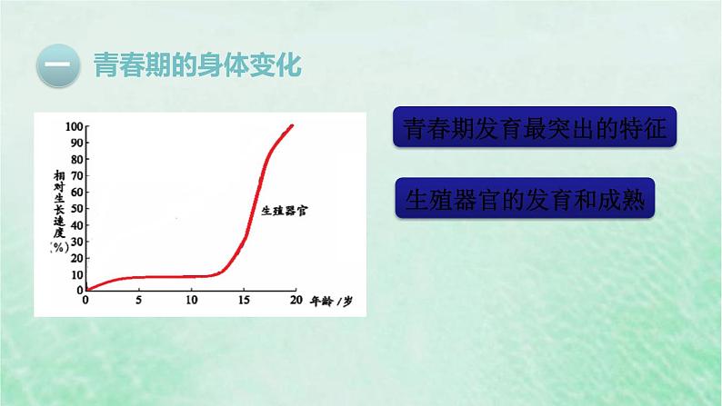 人教版七年级生物下册第4单元生物圈中的人第1章人的由来第3节青春期课件第7页