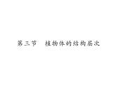 人教版七年级上册生物  2.2.3 植物体的结构层次 课件