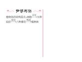 人教版七年级上册生物  2.2.3 植物体的结构层次 课件