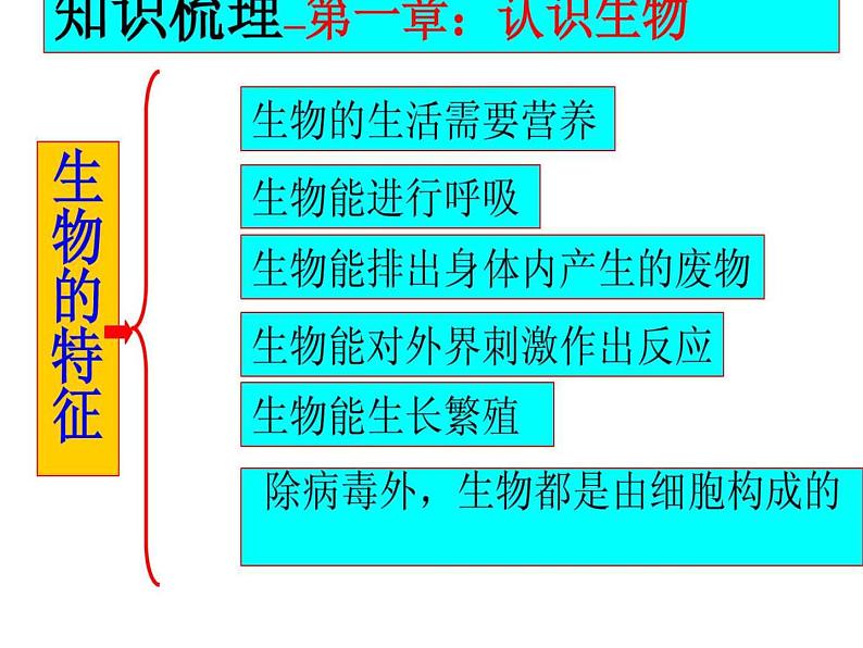 人教版七年级上册生物  第一单元 综合与测试 课件03