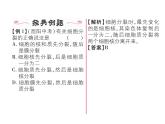 人教版七年级上册生物  2.2.1 细胞通过分裂产生新细胞 课件