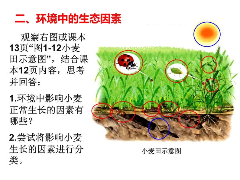 1.2.1生物与环境的关系 课件08