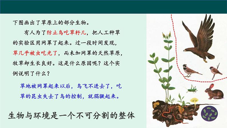 1.2.2 生物与环境组成生态系统 课件03