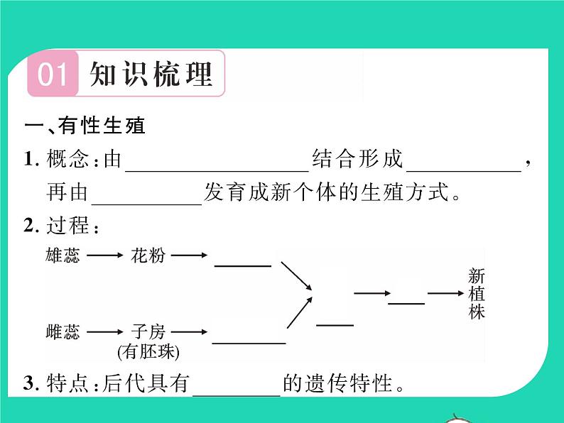 2022八年级生物下册第七单元生物圈中生命的延续和发展第一章生物的生殖和发育第一节植物的生殖习题课件新版新人教版02