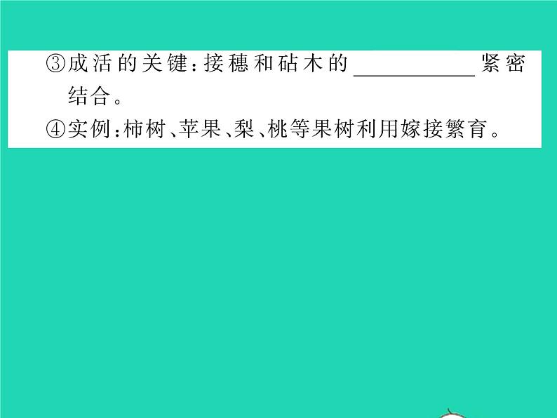 2022八年级生物下册第七单元生物圈中生命的延续和发展第一章生物的生殖和发育第一节植物的生殖习题课件新版新人教版06