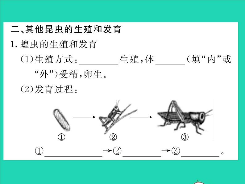 2022八年级生物下册第七单元生物圈中生命的延续和发展第一章生物的生殖和发育第二节昆虫的生殖和发育习题课件新版新人教版05