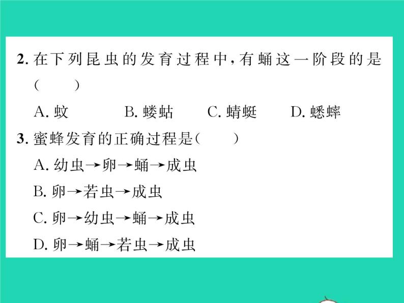 2022八年级生物下册第七单元生物圈中生命的延续和发展第一章生物的生殖和发育第二节昆虫的生殖和发育习题课件新版新人教版08