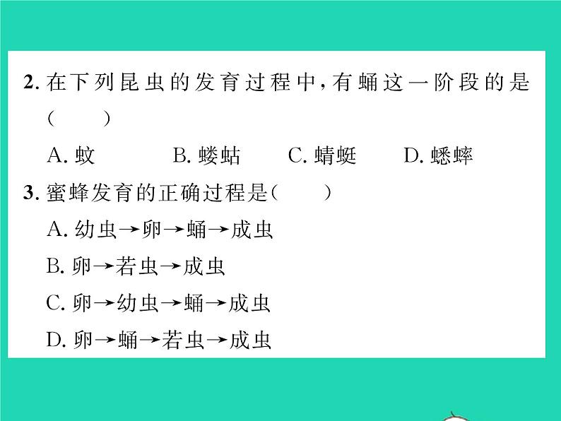 2022八年级生物下册第七单元生物圈中生命的延续和发展第一章生物的生殖和发育第二节昆虫的生殖和发育习题课件新版新人教版08