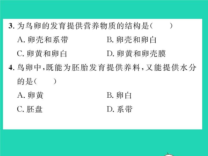 2022八年级生物下册第七单元生物圈中生命的延续和发展第一章生物的生殖和发育第四节鸟的生殖和发育习题课件新版新人教版06