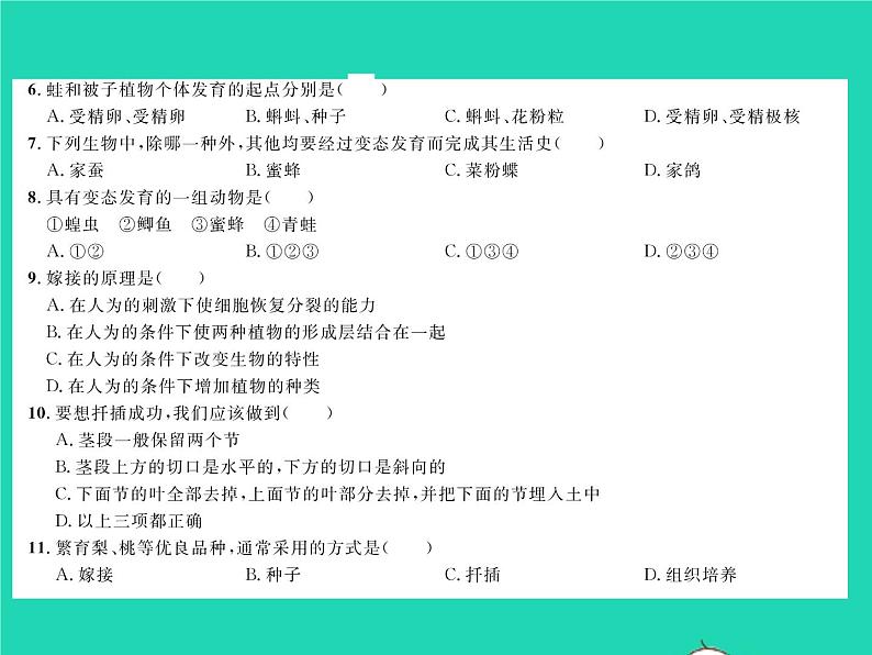 2022八年级生物下册第七单元生物圈中生命的延续和发展第一章生物的生殖和发育综合检测习题课件新版新人教版03