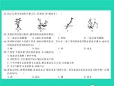 2022八年级生物下册第七单元生物圈中生命的延续和发展第一章生物的生殖和发育综合检测习题课件新版新人教版
